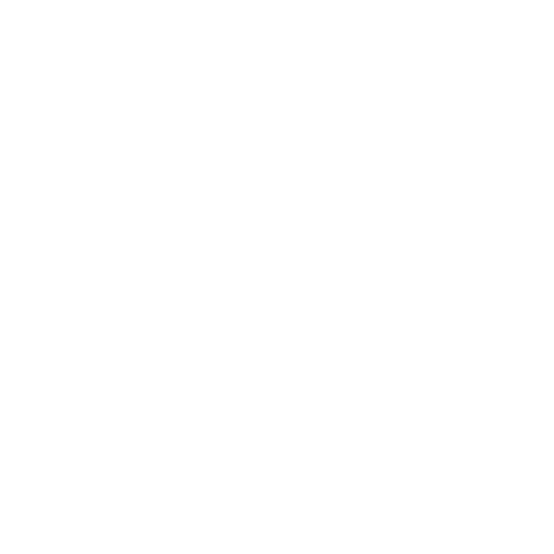 whiteinstagramicon