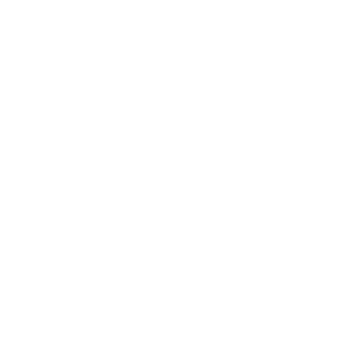 Nuevo Remanente logo