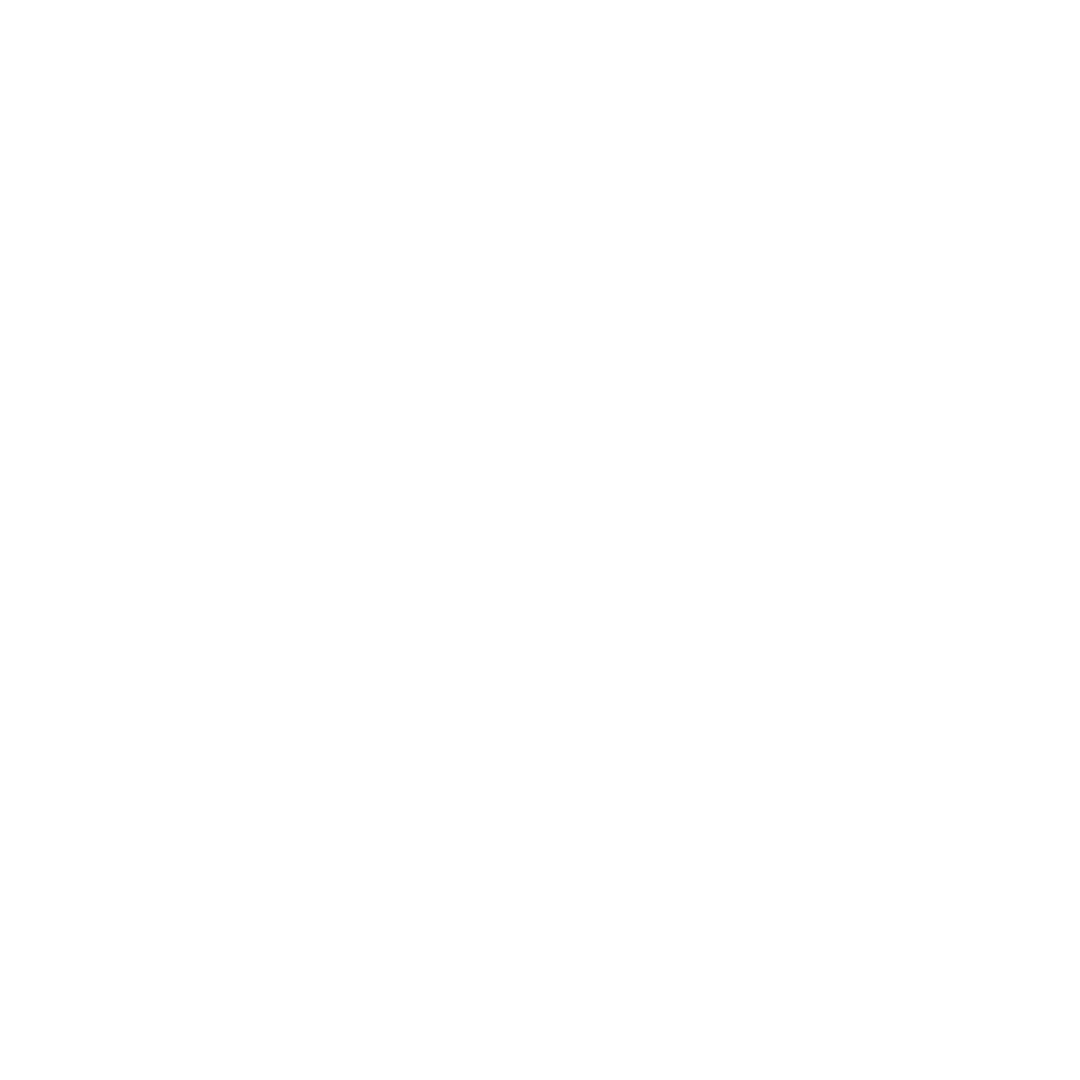 bible icon