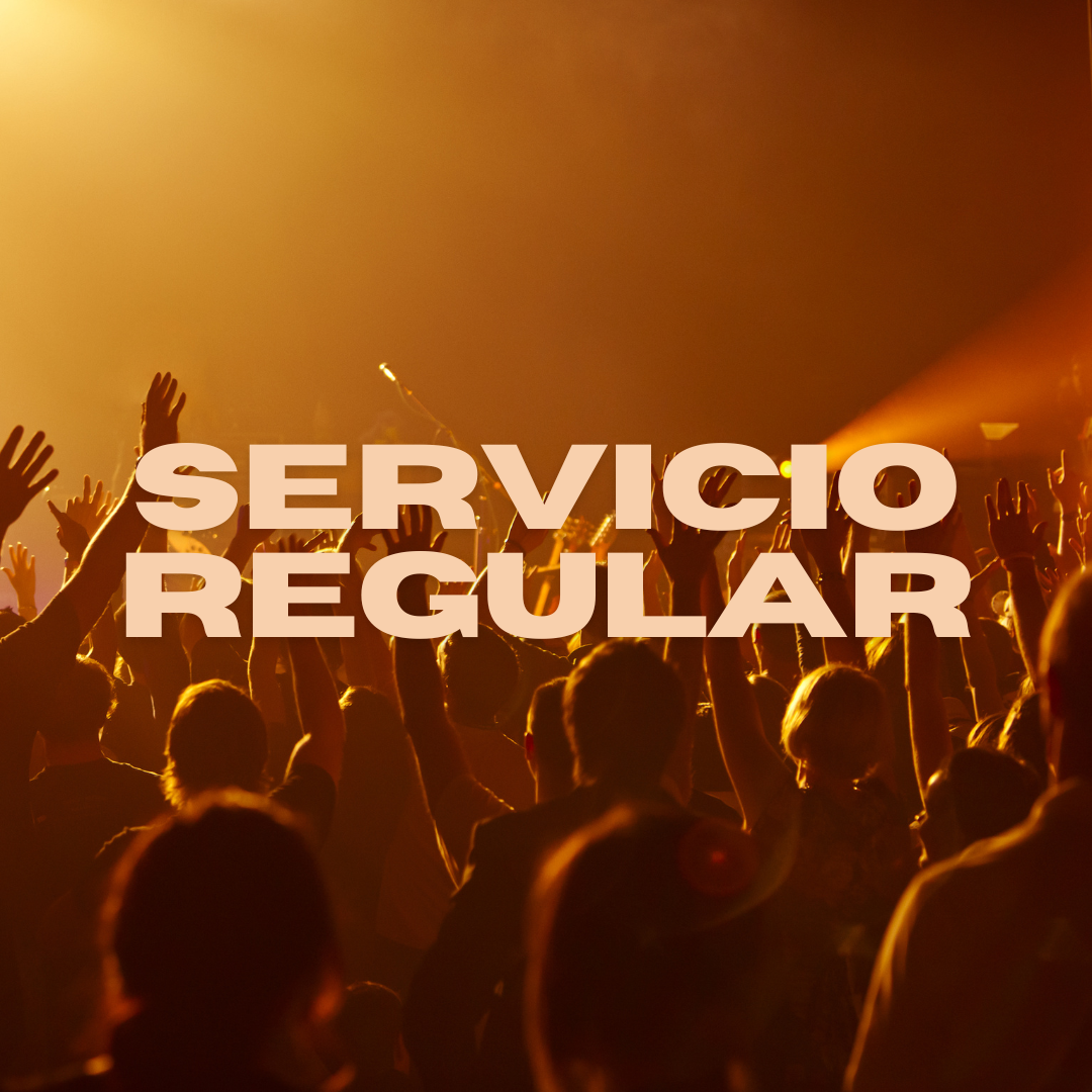 Servicio regular domingo