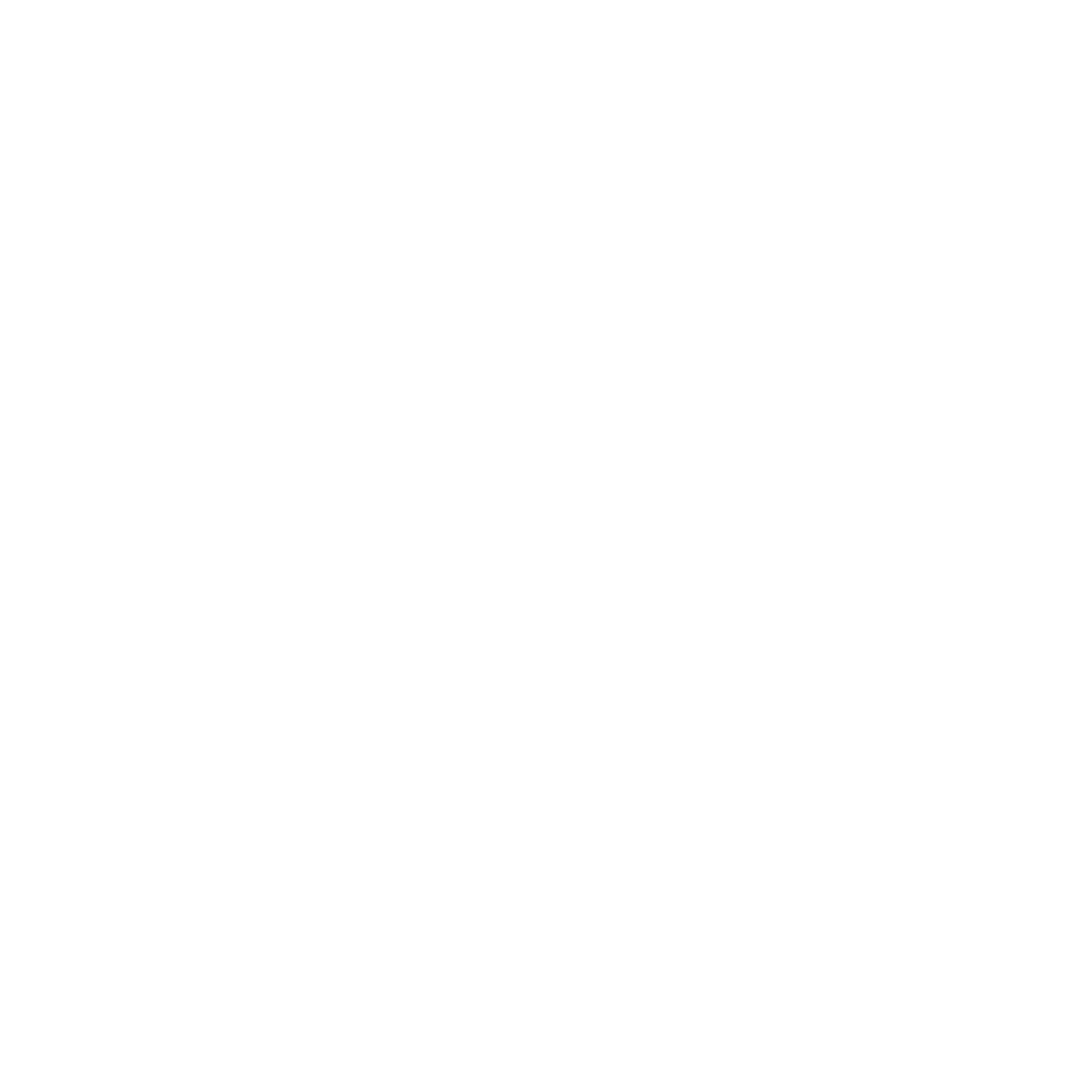 moon icon